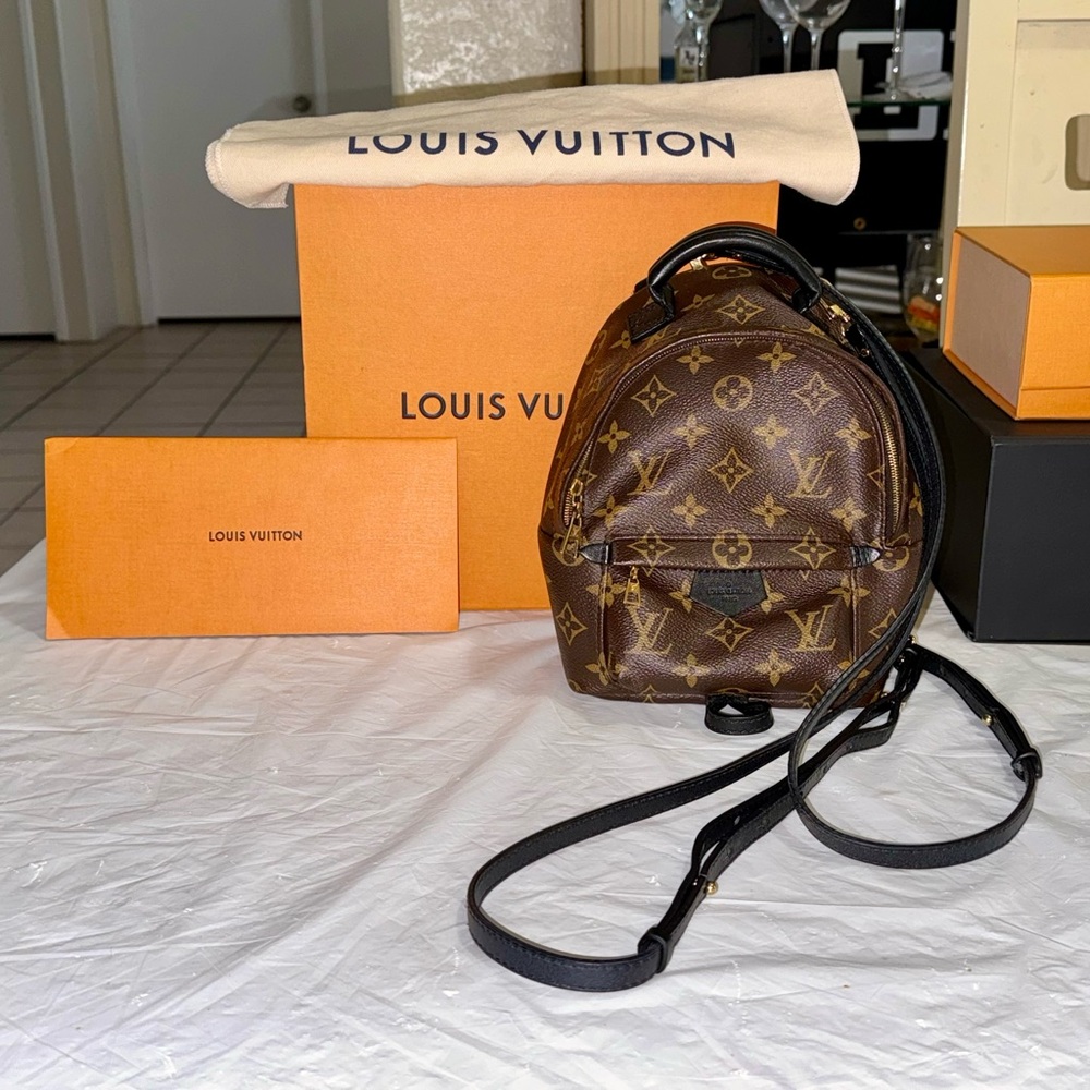 Louis Vuitton Palm Springs mini backpack